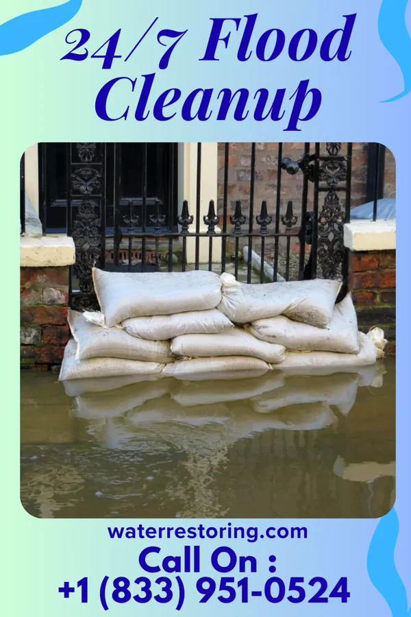24/7 Flood Cleanup in Bowman, GA