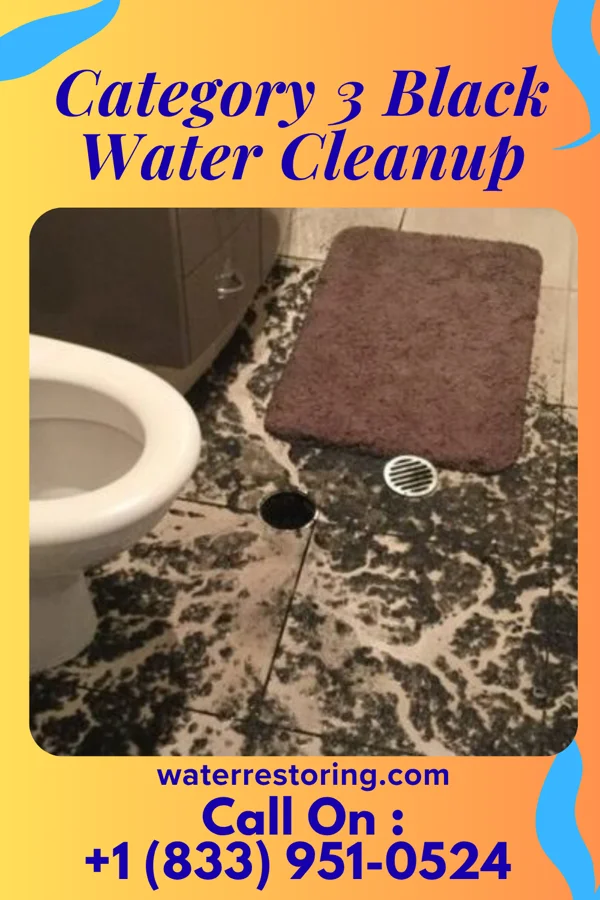 Category 3 Black Water Cleanup in Bowman, GA