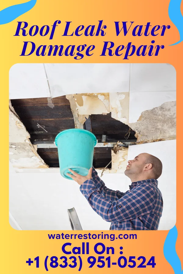 Roof Leak Water Damage Repair in Bowman, GA