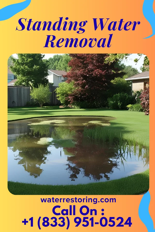 Standing Water Removal in Bowman, GA